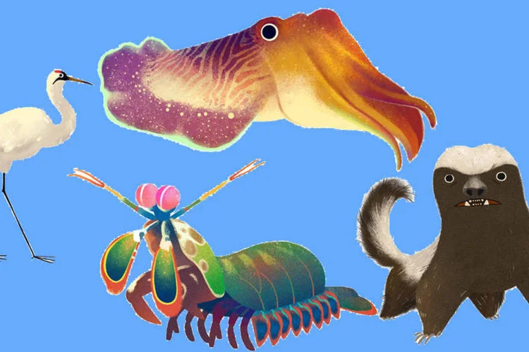 Dia da Terra: teste do Google mostra qual animal internauta seria (Reprodução/Google)