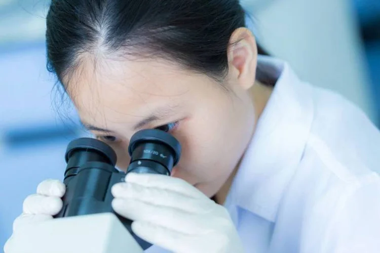 
	Efeito zika: a comunidade cient&iacute;fica foi muito &aacute;gil em se articular, fazer parcerias locais e estrangeiras, mas essa r&aacute;pida mobiliza&ccedil;&atilde;o n&atilde;o teve contrapartida financeira do governo
 (Thinkstock/Photokanok)