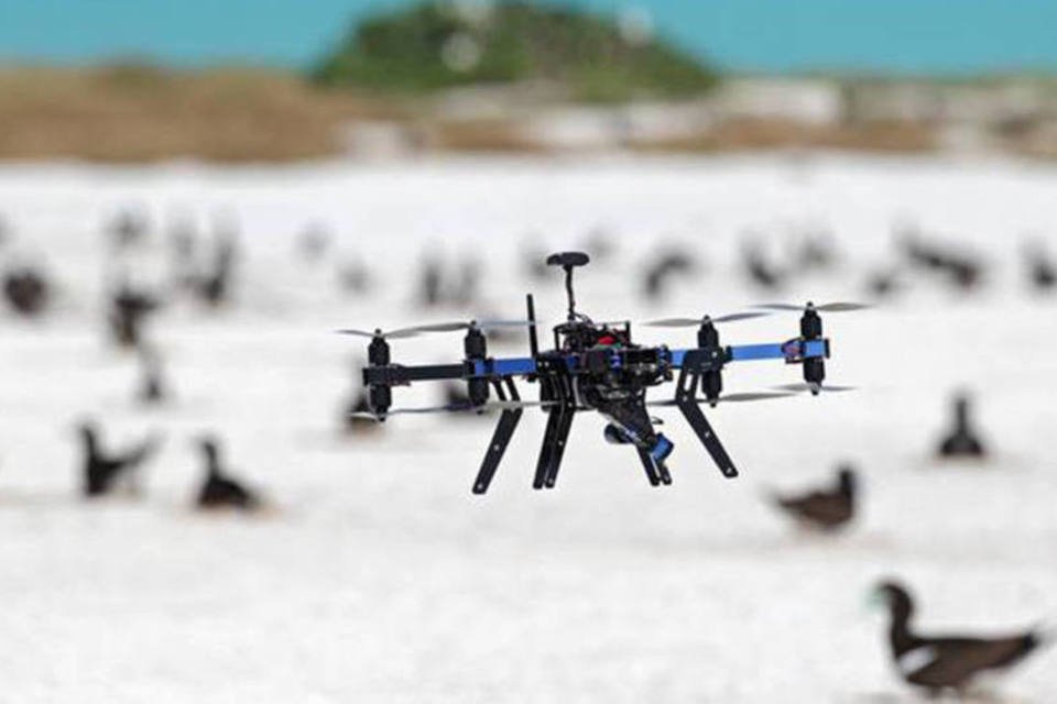 
	Guardi&otilde;es a&eacute;reos: estudo mostra que os drones s&atilde;o os olhos que faltavam na luta pela preserva&ccedil;&atilde;o.
 (Rohan Clarke / Monash University)