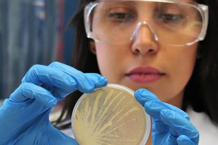 Parceria entre São Paulo e Reino Unido já resultou em projetos em áreas como biologia, saúde, engenharias, agricultura, veterinária e humanidades (EXAME.com)