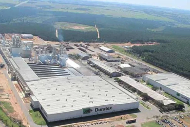 
	Duratex: entre julho e setembro, o lucro l&iacute;quido da companhia recuou 50,9 por cento na compara&ccedil;&atilde;o anual, a 83,53 milh&otilde;es de reais
 (Divulgação)