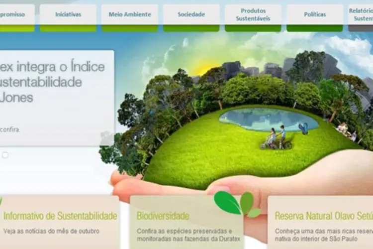 Duratex: o hotsite foi desenvolvido para oferecer informações das ações sociais e ambientais da marca (Reprodução)