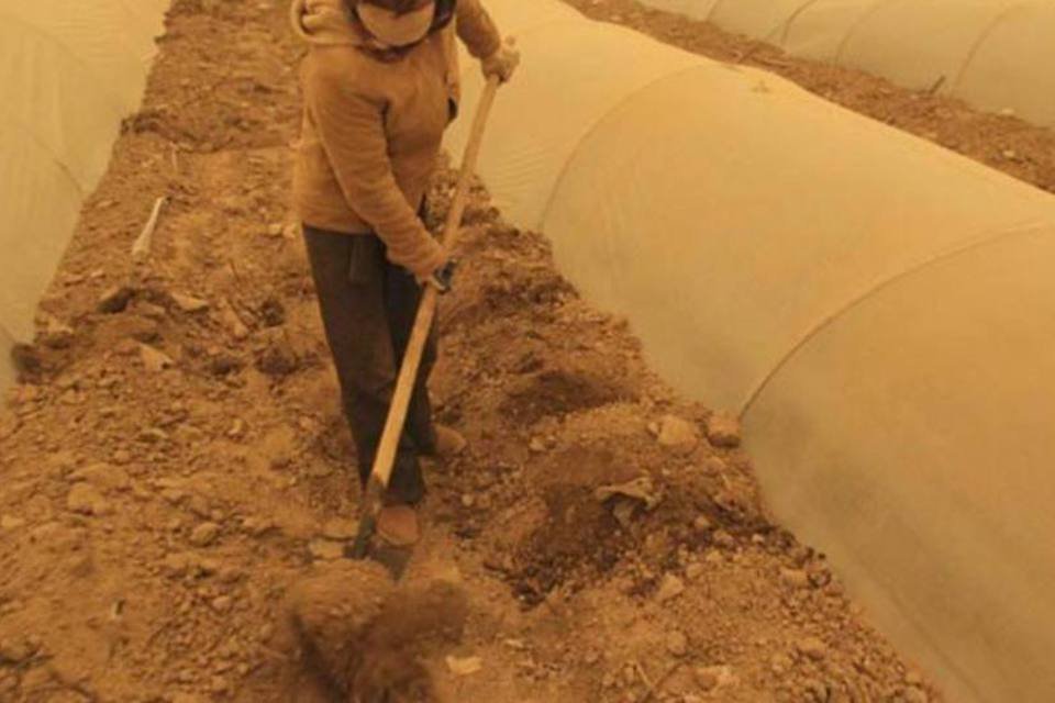 Tempestade de areia atormenta China e deixa cidades laranjas