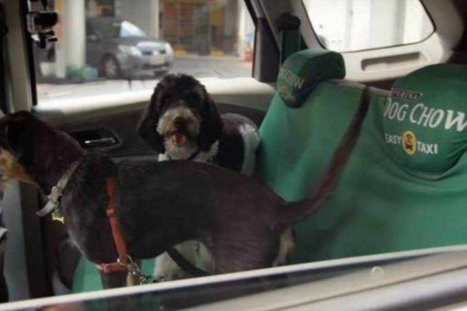 
	A&ccedil;&atilde;o da Purina Dog Chow com o Easy Taxi: a marca colocou Alexandre Rossi como motorista de um t&aacute;xi, acompanhado de cachorros
 (Reprodução/YouTube)