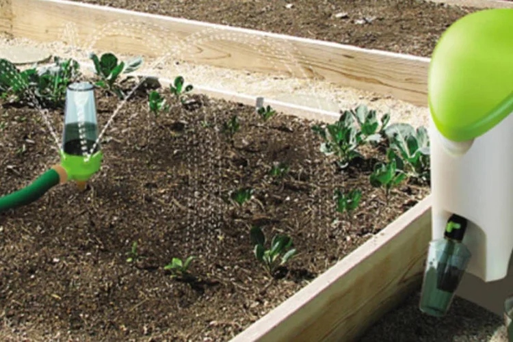 O conceito oferece uma maneira sustentável de nutrir as plantas e reduzir a poluição do solo e da água (Divulgação)
