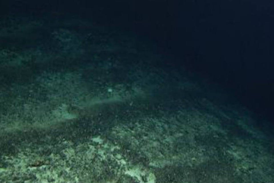 Exploração do fundo do mar alarma cientistas