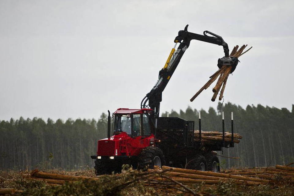 Eldorado tem recorde de produção, mas preços pressionam lucro