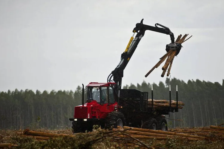 Eldorado: as propostas foram feitas por Asia Pacific Resources International, da Indonésia; Fibria e uma companhia asiática não identificada (Dado Galdieri/Bloomberg)
