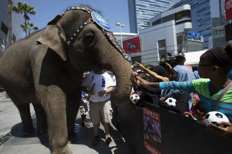 Elefante do circo Ringling Bros em interação com o público (Mario Anzuoni/Files/Reuters)