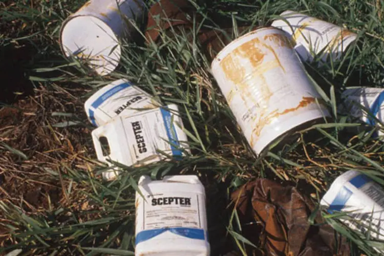 
	Gal&otilde;es vazios de herbicida poluindo o meio ambiente: agricultores t&ecirc;m que limpar e devolver as embalagens aos comerciantes, que as entregam aos fabricantes
 (Hennio Brauns/Veja)
