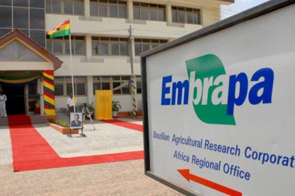 Investimentos da Embrapa geram lucro de R$ 18 bilhões