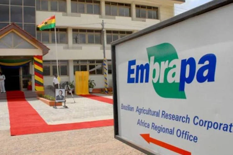 Embrapa: três diretores executivos da empresa foram exonerados (Valter Campanato/Agência Brasil)