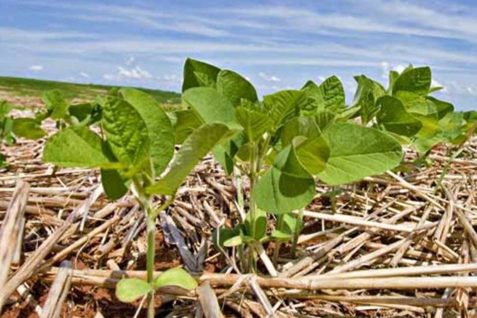 Agronegócio à prova de rigores do clima: sonho ou realidade?