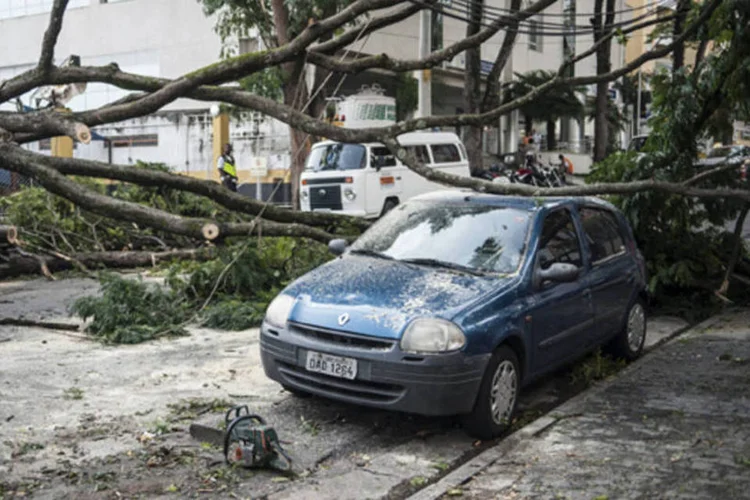 
	Estragos causados por fortes chuvas em S&atilde;o Paulo: segundo o IPCC, o clima&nbsp;vai ficar mais inst&aacute;vel, com altern&acirc;ncia cada vez mais frequente de extremos clim&aacute;ticos
 (Marcelo Camargo/ABr)