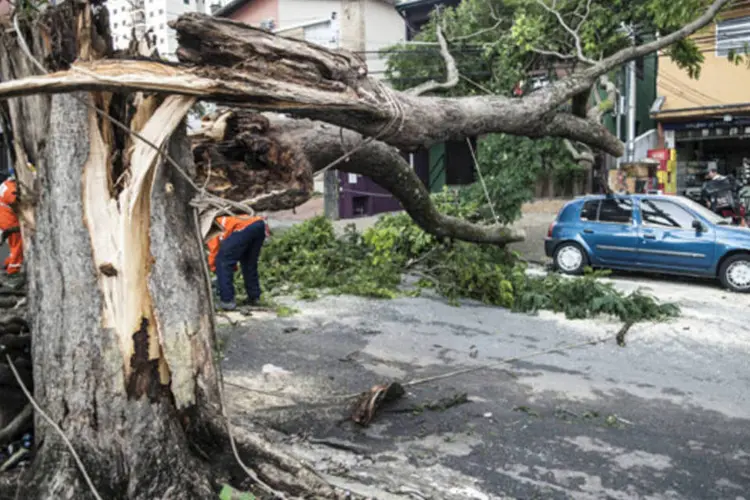 
	Estragos causados pelas fortes chuvas em S&atilde;o Paulo: a maior parte das quedas foi em bairros das zonas sul e oeste
 (Marcelo Camargo/ABr)