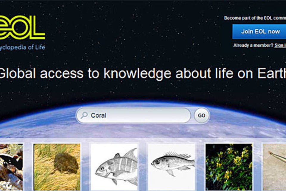 Enciclopédia da Vida tem 700 mil animais catalogados e novos recursos
