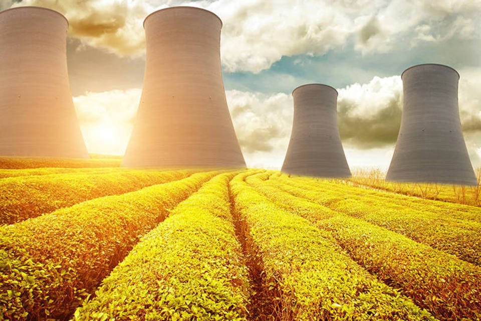 Energia nuclear torna-se arma contra fraudes em alimentos