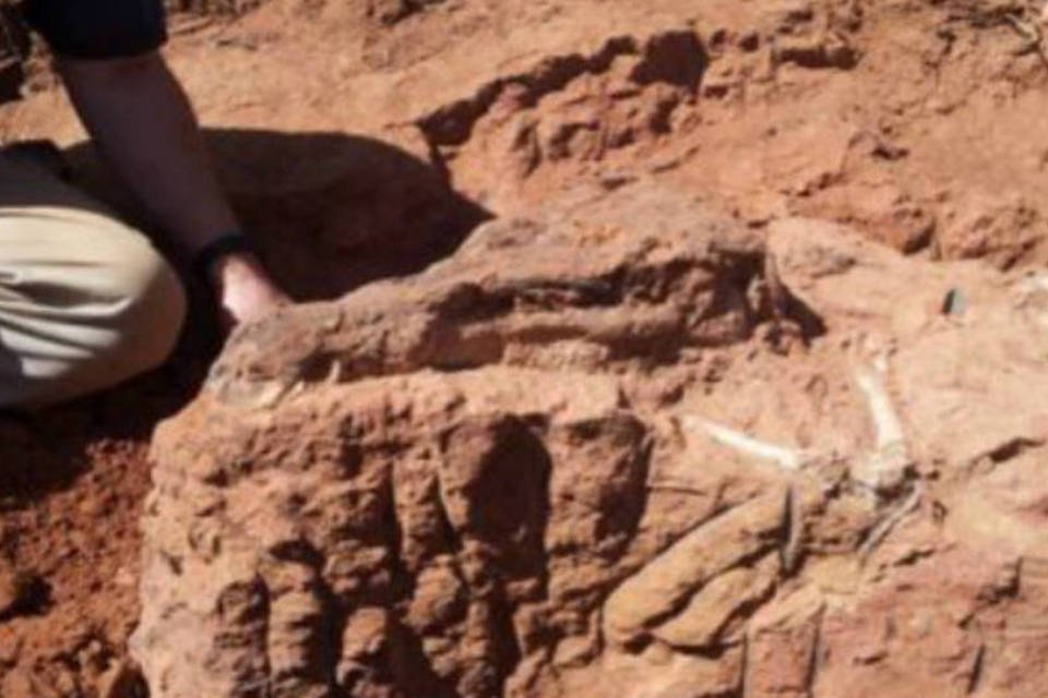 Pesquisadores descobrem fósseis de 90 mi de anos em MG