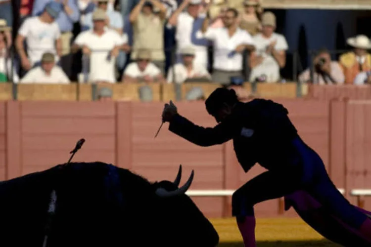 
	Touros: o evento se tornou um s&iacute;mbolo para os cr&iacute;ticos das touradas, espet&aacute;culo tradicional da Espanha
 (REUTERS/Marcelo del Pozo)