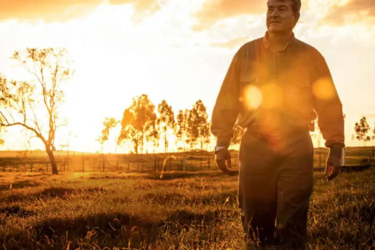 Antonio Roberto Corrêa, do laboratório veterinário Biovet, em  Vargem Grande Paulista, SP: Faturamento de 79 mihões de reais em 2011, com produção de vacinas, soros e remédios veterinários (Divulgação)