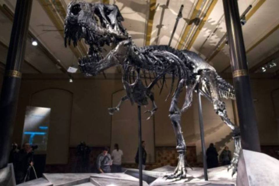Dinossauro de 80 milhões de anos é descoberto na Argentina