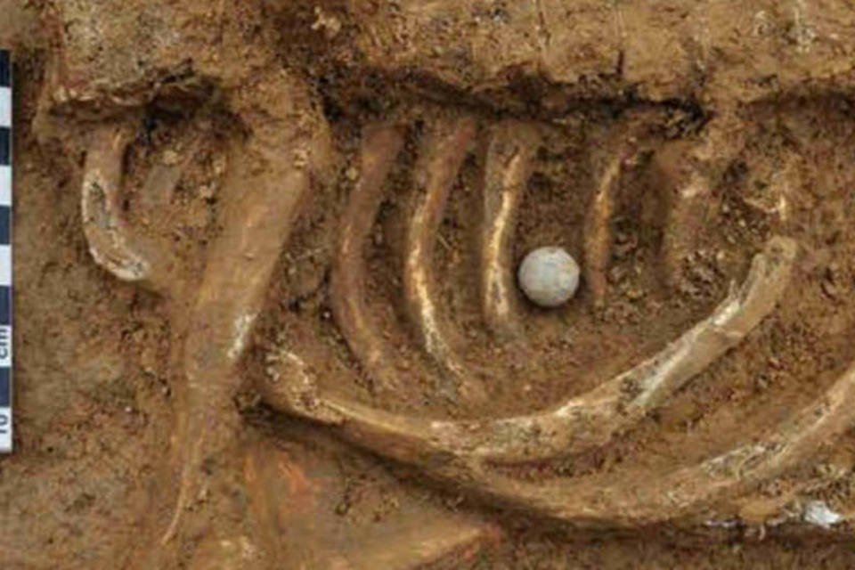 Esqueleto de soldado é descoberto em Waterloo