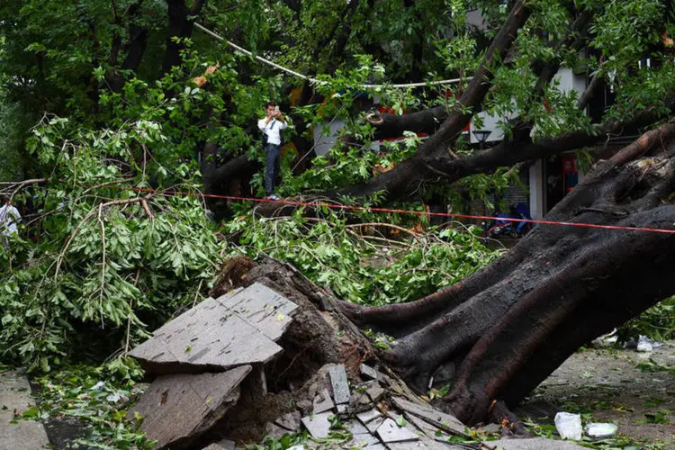 
	Tuf&atilde;o Nida: a chuva torrencial e o vento trazidos pelo Nida danificaram 19,6 mil hectares de cultivos e 2,4 mil casas
 (Stringer/Reuters)