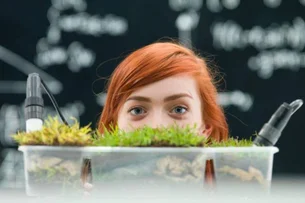 7 dicas para promover a responsabilidade social dentro da empresa