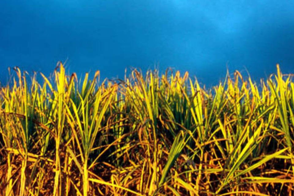EUA aprovam etanol de cana do Brasil