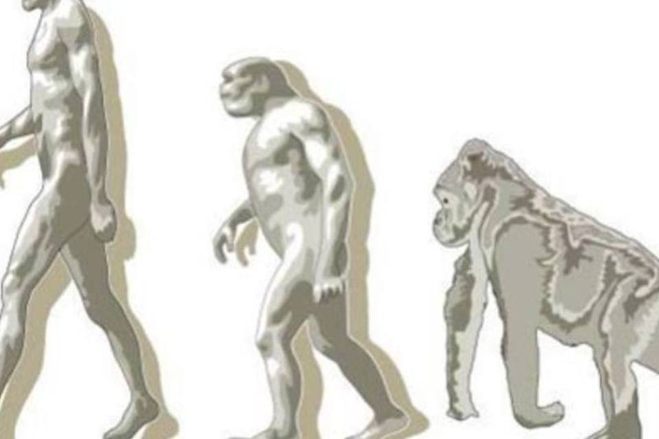 Evolução do ser humano permanece rápida, afirmam cientistas