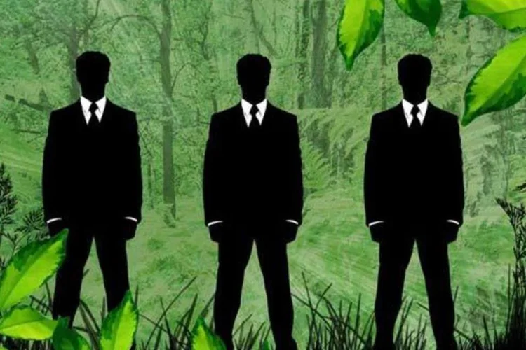 Um em cada seis diretores financeiros está “muito envolvido” com a sustentabilidade empresarial (Stock Xchng)