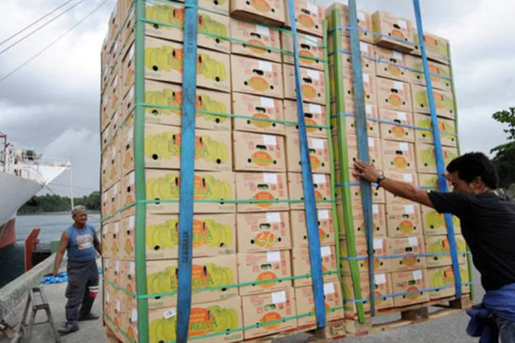 
	Caixas de bananas das Filipinas s&atilde;o embarcadas para serem importadas pela China e pela Coreia do Sul em Tagum: os pa&iacute;ses asi&aacute;ticos lideram as exporta&ccedil;&otilde;es
 (Romeo Gacad)