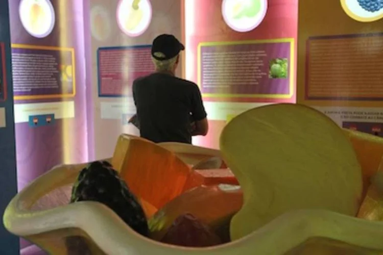 Exposição Ciência para Vida: inovação amigável ao meio ambiente (.)
