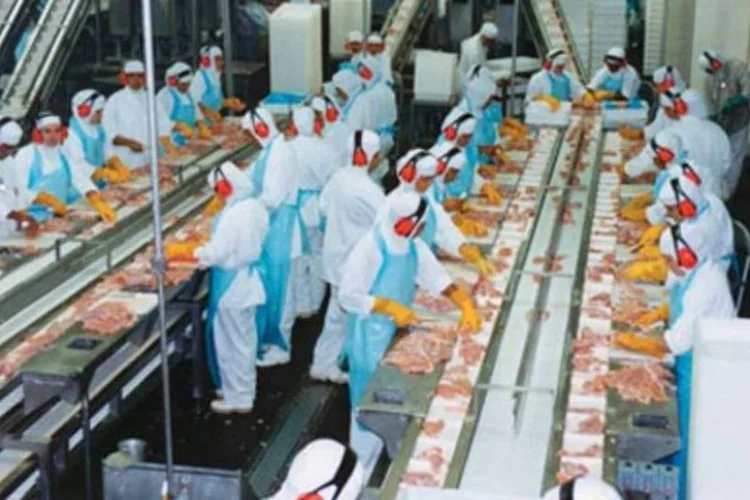 Brasil Foods é o principal investimento da Tarpon - são mais de 700 milhões de reais em jogo