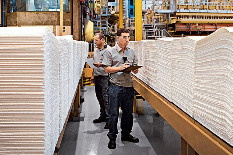 Fábrica de celulose da Fibria: ao contrário da Suzano, a empresa não investe mais na fabricação de papel (Fabiano Accorsi / EXAME)