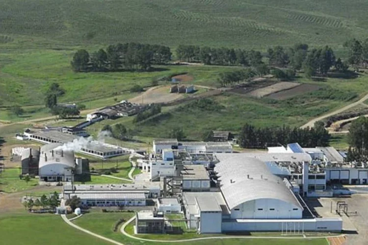 Marfrig: empresa destacou os ganhos de sinergias na Seara e o desempenho da Keystone Foods, Europa e Bovinos Brasil   (Divulgação/EXAME)