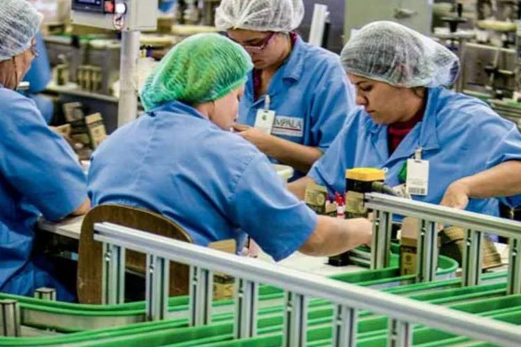 Fábrica da Mundial: as ações caíram 98% desde 2011  (Kiko Ferrite/EXAME.com)