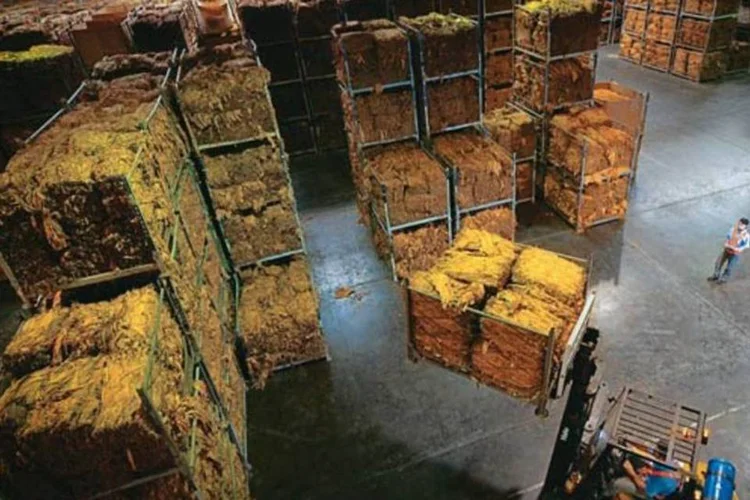 
	Produ&ccedil;&atilde;o da Souza Cruz: companhia teve lucro de R$ 375,5 milh&otilde;es entre julho a setembro
 (Germano Lüders/EXAME.com)