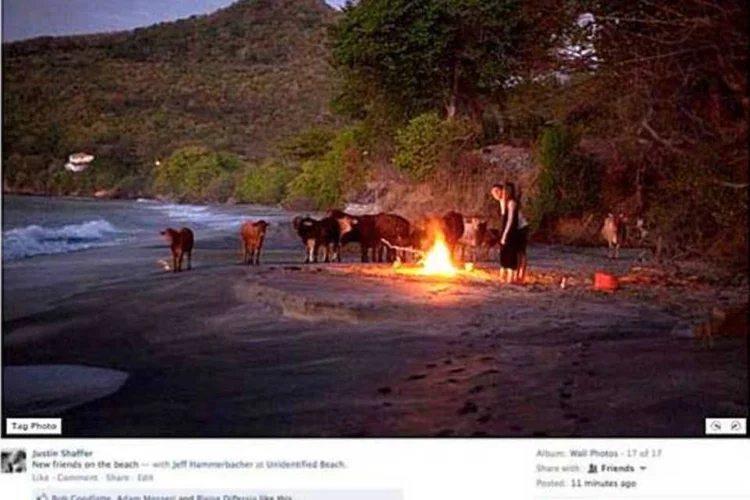 O novo visualizador de fotos do Facebook exibe uma moldura branca semitransparente em vez do quadro preto em torno da imagem (Reprodução)