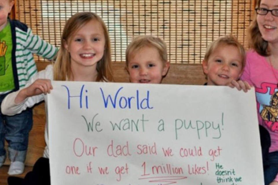 Irmãs conseguem 1 mi de curtidas com campanha por cãozinho