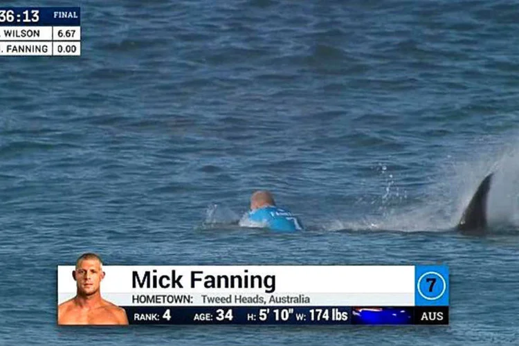 Mick Fanning: surfista foi atacado por tubarão na África do Sul (Reprodução)