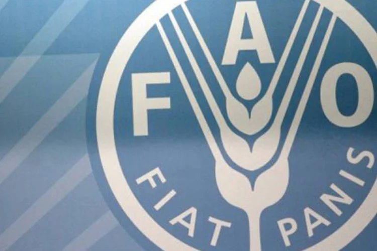 O porta-voz da FAO anunciou que as diretrizes foram aprovadas por aclamação
 (Christophe Simon/AFP)