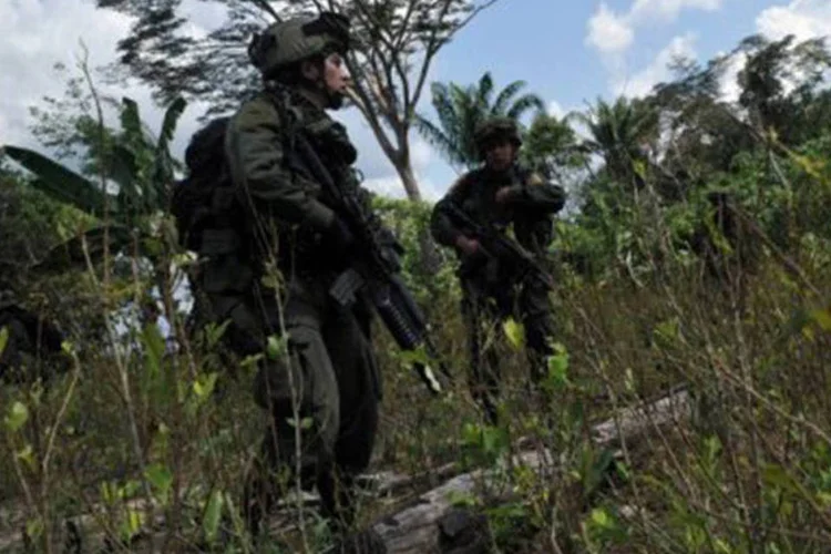 Policiais fazem patrulha em busca de plantações de coca das Farc
 (Guillermo Legaria/AFP)