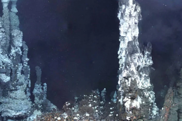 
	Fauna dispersa encontrada no fundo do mar pr&oacute;ximo &agrave; Ant&aacute;rtida: segundo a pesquisa, a perda progressiva das calotas polares poderia gerar resultados nefastos para o ecossistema das regi&otilde;es
 (Reprodução/PLoS Biology)