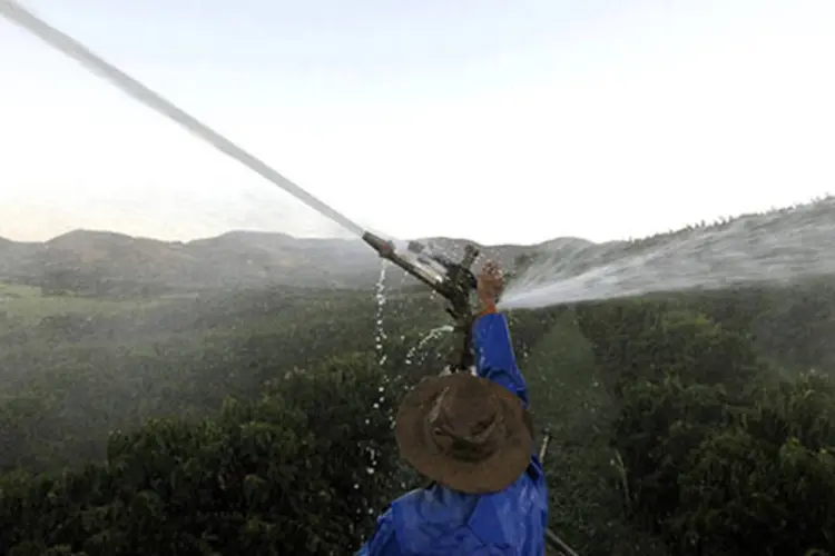 Produtor de café brasileiro ajusta o sistema de irrigação de uma fazenda em Santo Antonio do Jardim (Paulo Whitaker/Reuters)