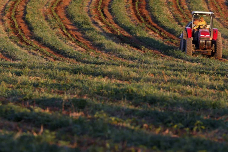
	Trator irriga mudas da planta do caf&eacute; em uma fazenda em Santo Antonio do Jardim
 (Paulo Whitaker/Reuters)