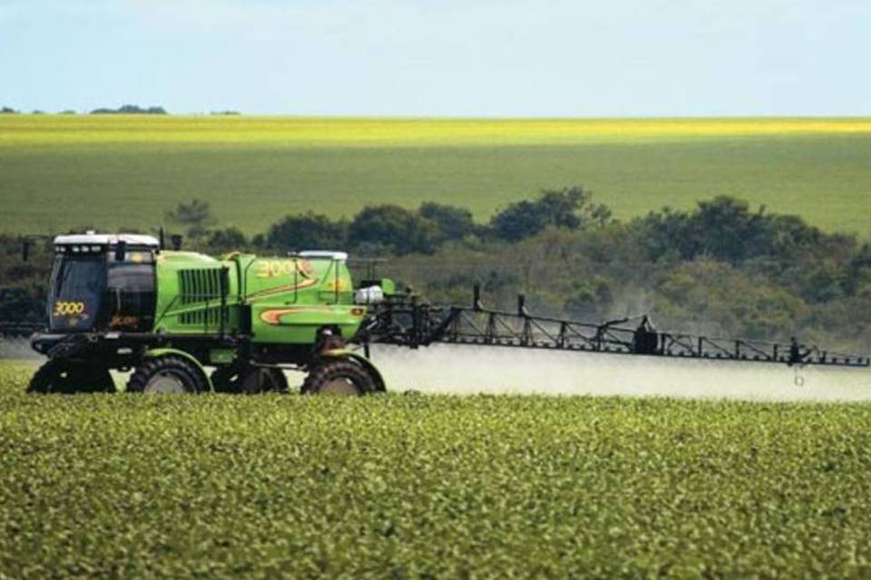 
	Fazenda de soja em Mato Grosso: o aumento da produ&ccedil;&atilde;o agr&iacute;cola no pa&iacute;s &eacute; apontado como um dos motivos para o crescimento do volume de embalagens contabilizadas&nbsp;
 (Ricardo Teles/Pulsar Imagens)