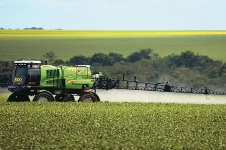 Fazenda de soja em Mato Grosso: o estado lidera a produção nacional de grãos, com uma participação de 23,1% no total nacional (Ricardo Teles/Pulsar Imagens)