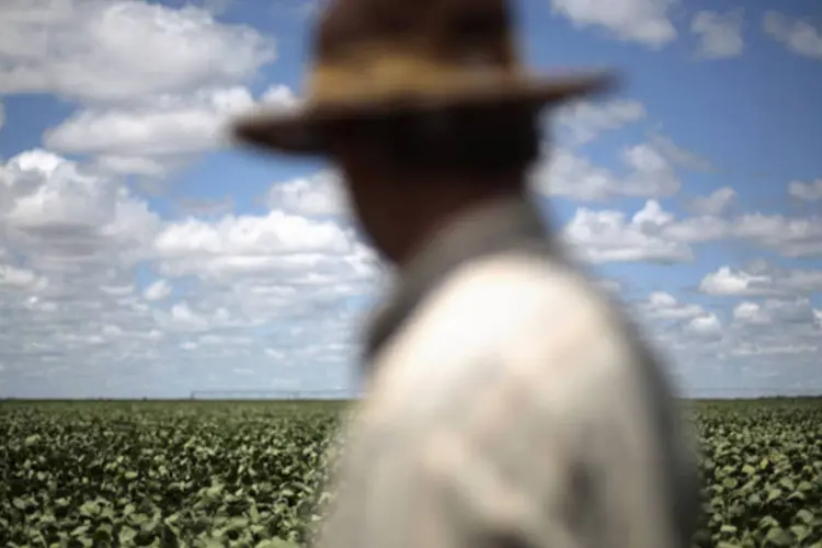 
	Fazendeiro observa sua planta&ccedil;&atilde;o de soja em Barreiras, na Bahia: Brasil est&aacute; colhendo uma safra recorde, de cerca de 88 milh&otilde;es de toneladas de soja
 (Ueslei Marcelino/Reuters)
