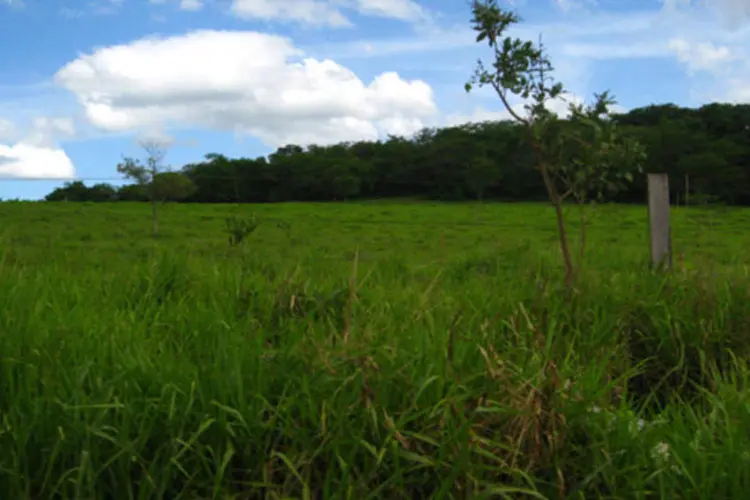 
	Fazenda em Montes Claros, em MG: o ponto crucial do debate sobre a terra no Brasil &eacute; que tipo de modelo agr&iacute;cola prevalecer&aacute;
 (Uirá Porã/Flickr)